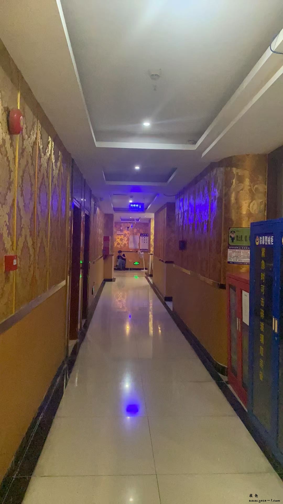 【坪山】金福湾_002.jpeg